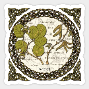 Celtic Hazel Sticker